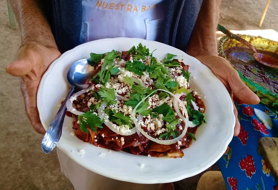 Enchiladas Oaxaqueñas Receta